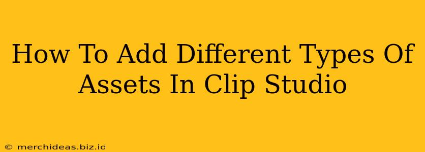 How To Add Different Types Of Assets In Clip Studio