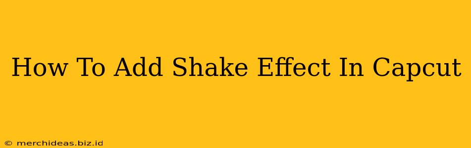 How To Add Shake Effect In Capcut