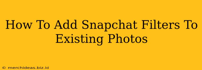 How To Add Snapchat Filters To Existing Photos
