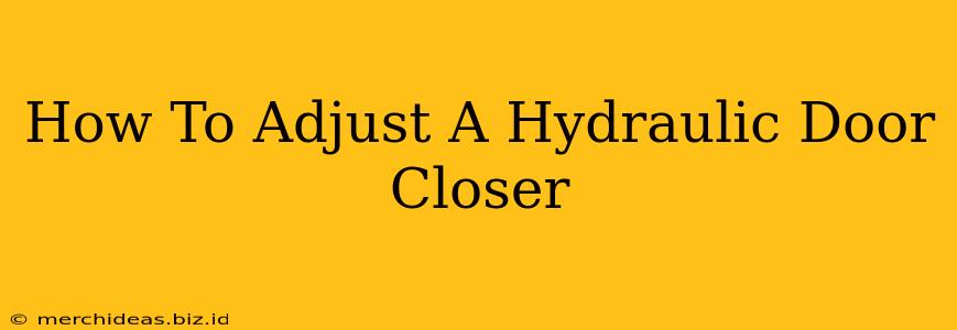 How To Adjust A Hydraulic Door Closer