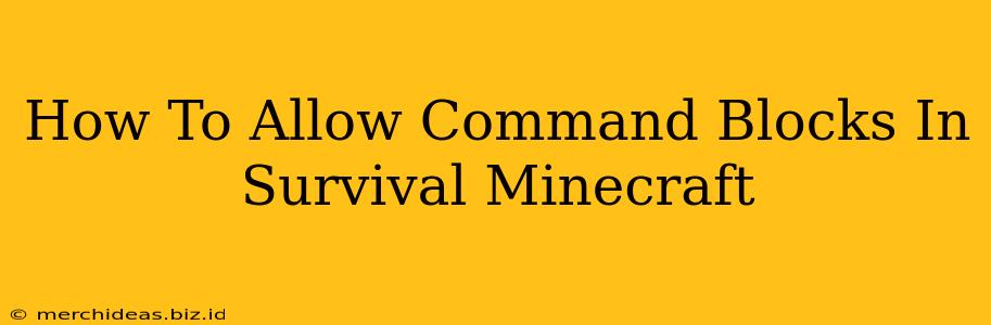 How To Allow Command Blocks In Survival Minecraft