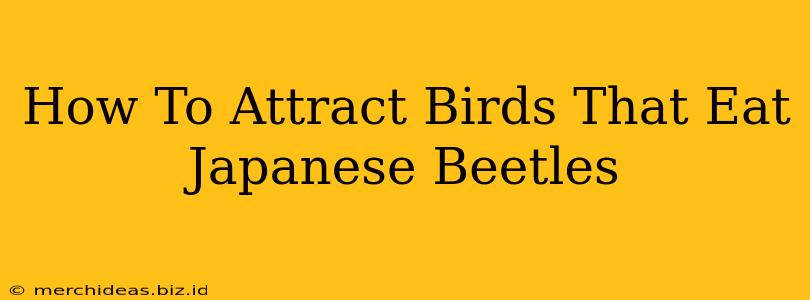 How To Attract Birds That Eat Japanese Beetles