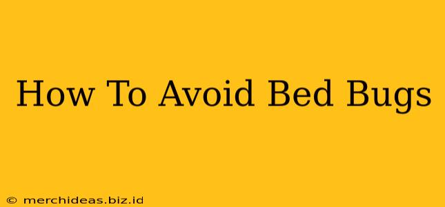 How To Avoid Bed Bugs