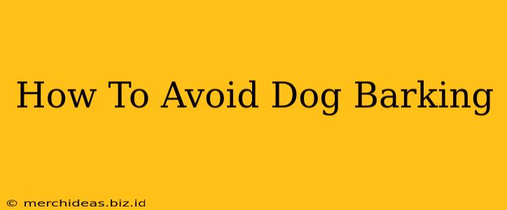 How To Avoid Dog Barking