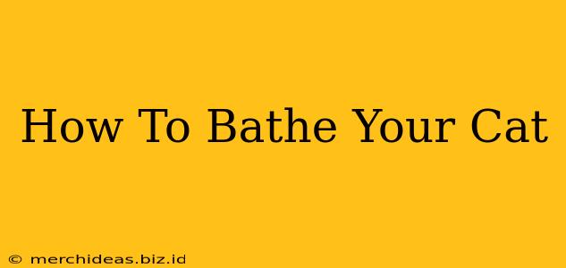 How To Bathe Your Cat