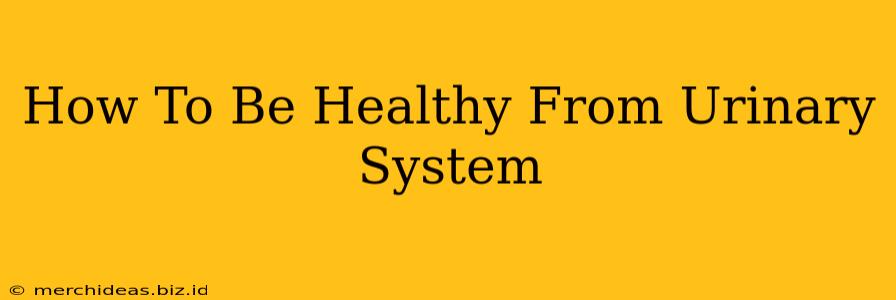 How To Be Healthy From Urinary System