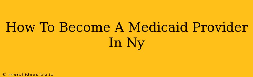 How To Become A Medicaid Provider In Ny