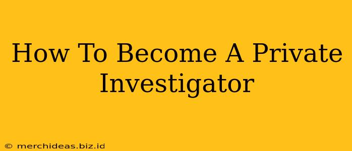 How To Become A Private Investigator