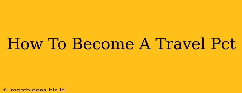 How To Become A Travel Pct
