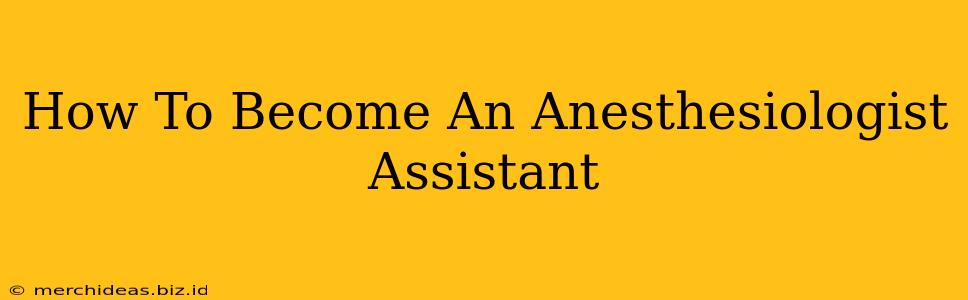 How To Become An Anesthesiologist Assistant