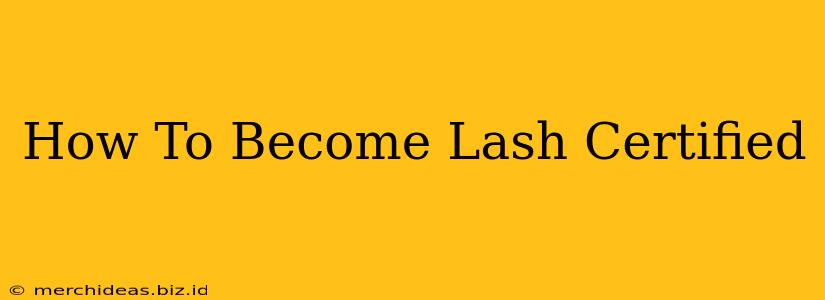 How To Become Lash Certified
