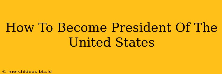 How To Become President Of The United States