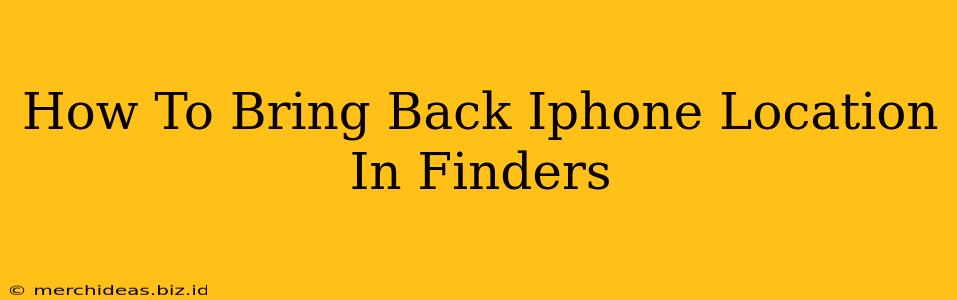 How To Bring Back Iphone Location In Finders