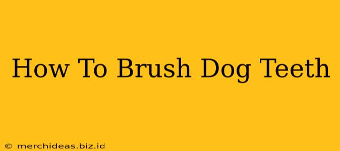 How To Brush Dog Teeth