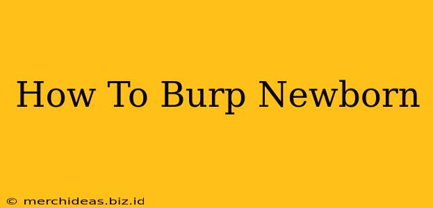 How To Burp Newborn