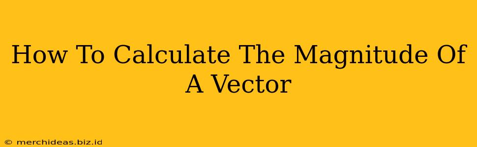 How To Calculate The Magnitude Of A Vector