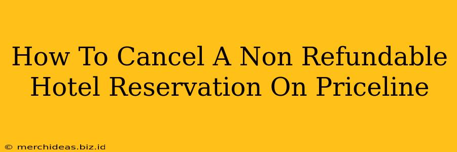 How To Cancel A Non Refundable Hotel Reservation On Priceline