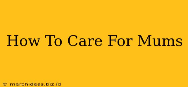 How To Care For Mums