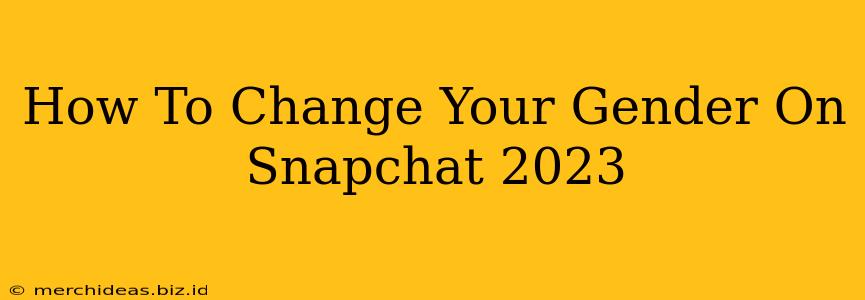 How To Change Your Gender On Snapchat 2023