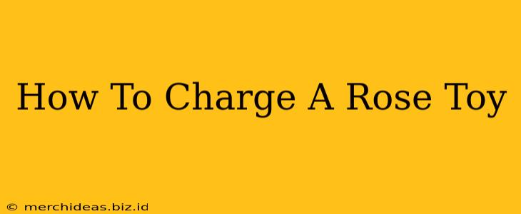 How To Charge A Rose Toy
