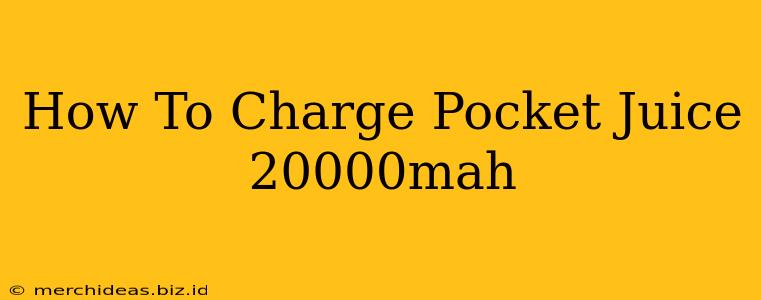 How To Charge Pocket Juice 20000mah