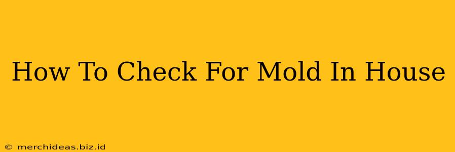 How To Check For Mold In House