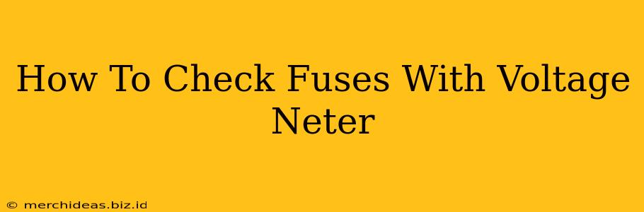 How To Check Fuses With Voltage Neter