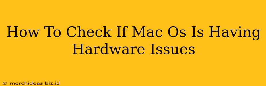 How To Check If Mac Os Is Having Hardware Issues