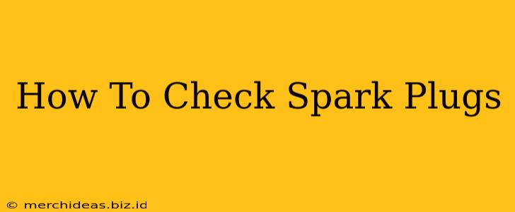 How To Check Spark Plugs