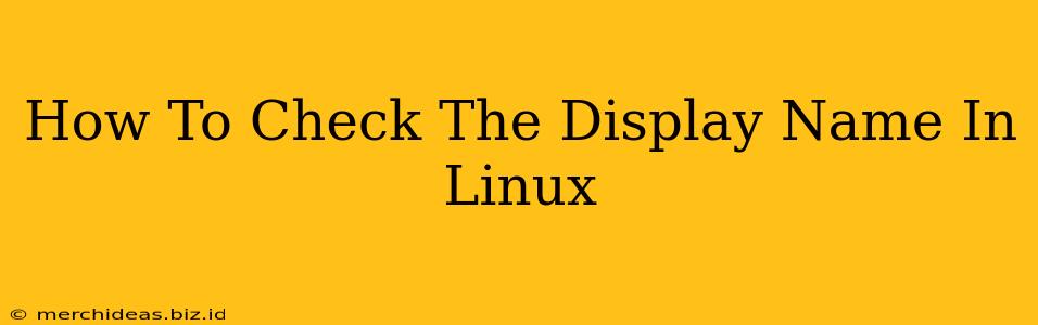 How To Check The Display Name In Linux