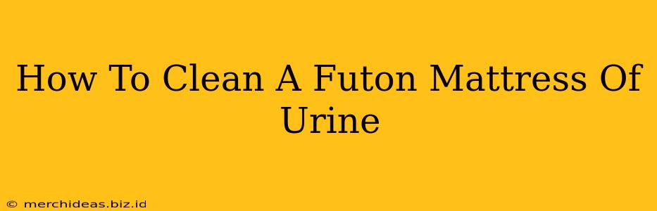 How To Clean A Futon Mattress Of Urine