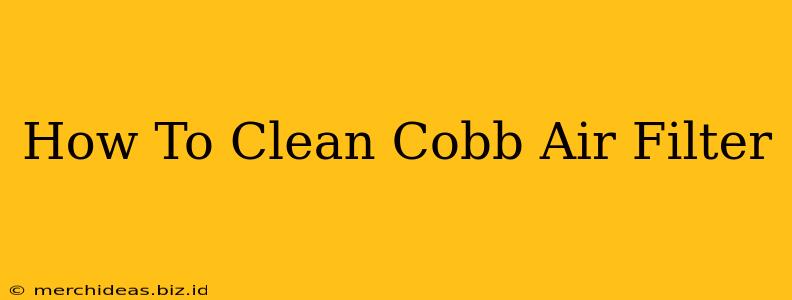 How To Clean Cobb Air Filter