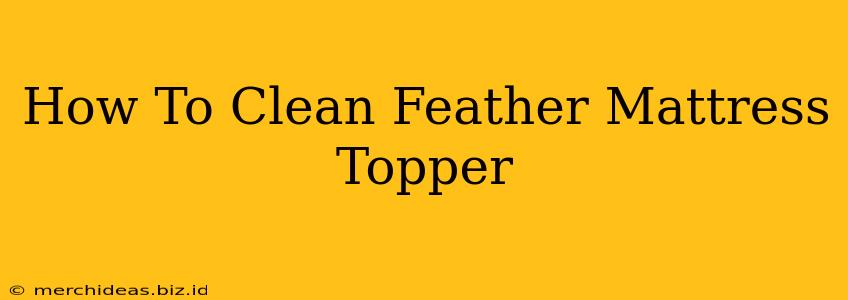 How To Clean Feather Mattress Topper