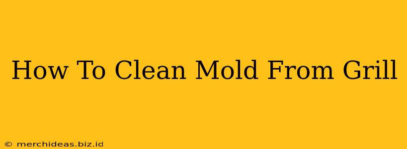 How To Clean Mold From Grill