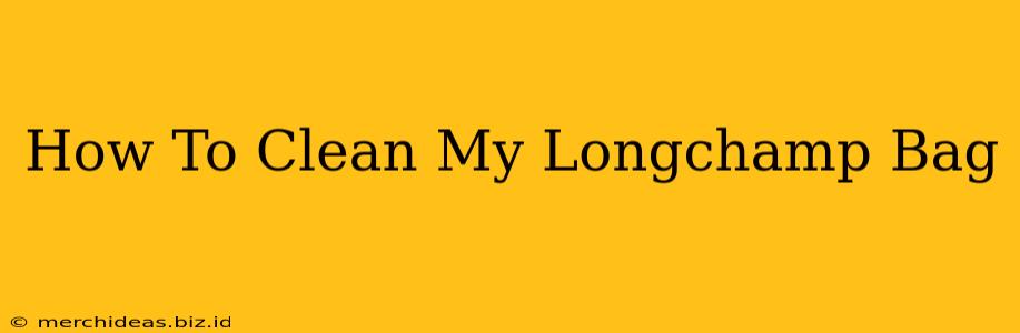 How To Clean My Longchamp Bag