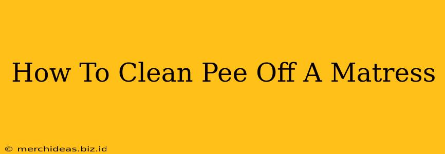 How To Clean Pee Off A Matress