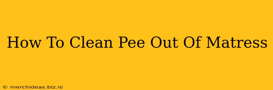 How To Clean Pee Out Of Matress
