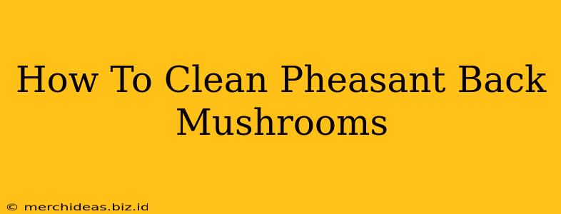 How To Clean Pheasant Back Mushrooms