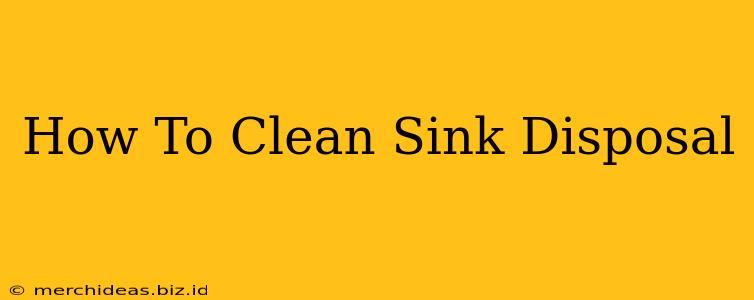 How To Clean Sink Disposal