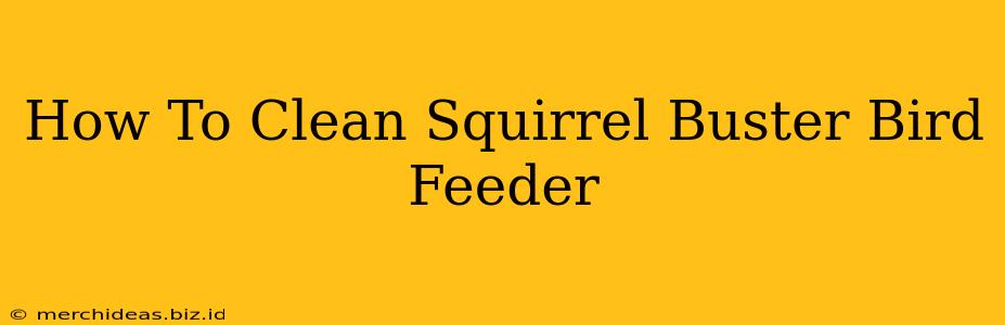 How To Clean Squirrel Buster Bird Feeder