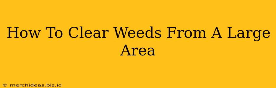 How To Clear Weeds From A Large Area