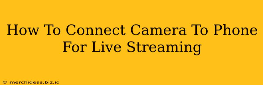 How To Connect Camera To Phone For Live Streaming
