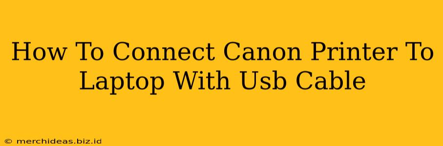 How To Connect Canon Printer To Laptop With Usb Cable