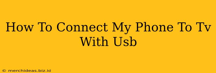 How To Connect My Phone To Tv With Usb