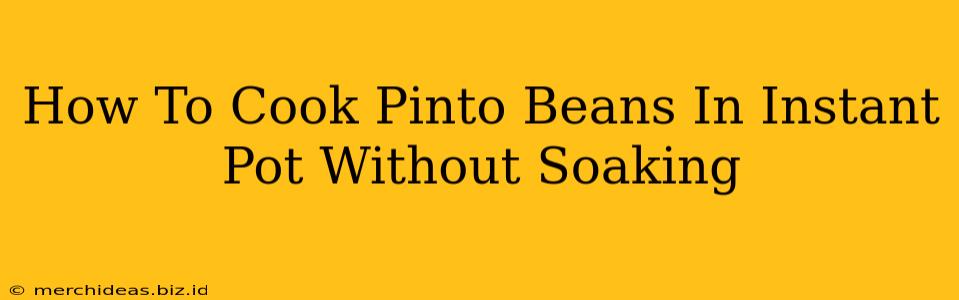 How To Cook Pinto Beans In Instant Pot Without Soaking