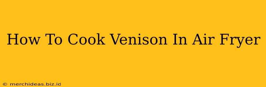 How To Cook Venison In Air Fryer