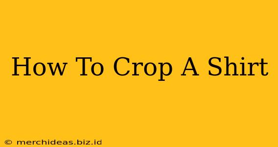 How To Crop A Shirt