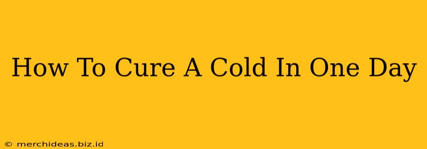 How To Cure A Cold In One Day