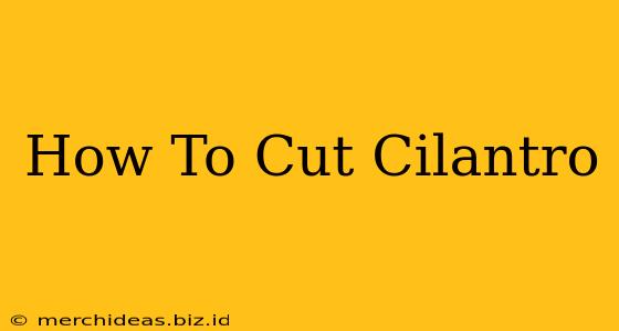 How To Cut Cilantro