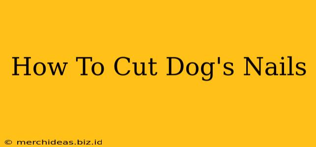 How To Cut Dog's Nails